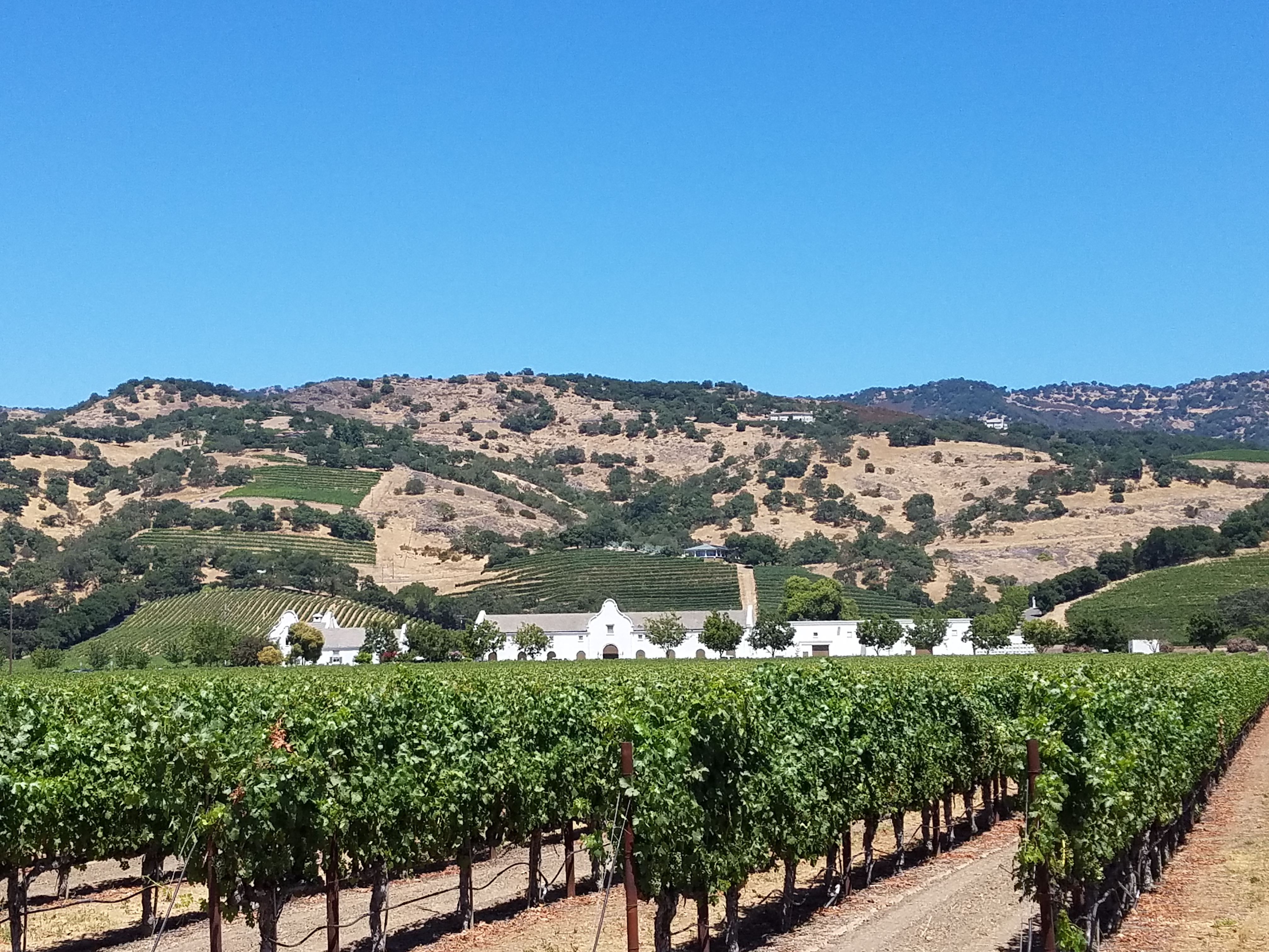 Things To Do In Napa Valley